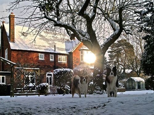 Vulcan Lodge Guest House Horley Luaran gambar